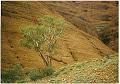 Australien 1998 D1210_s